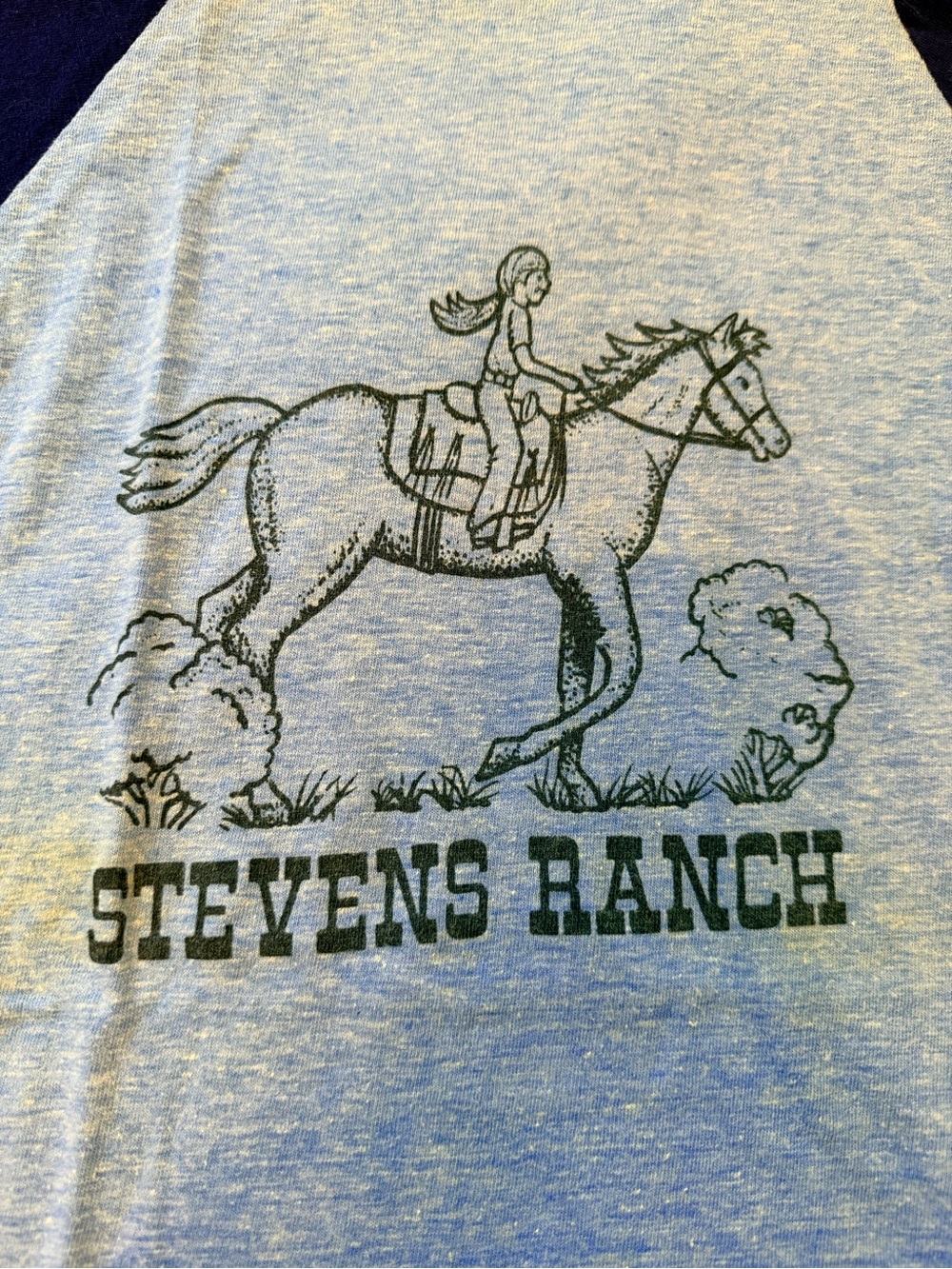 Vintage Stevens Ranch Raglan Tee - Light Blue & Navy - Picture 3 of 5